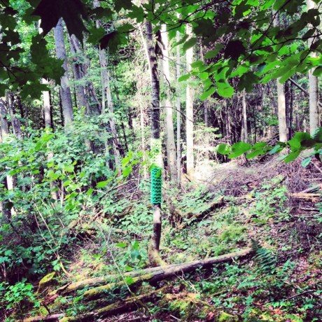 Ville-Laines_Val_David_Pic_12