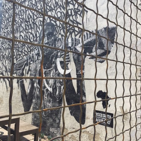 Venice_Afrika_47_CU_r