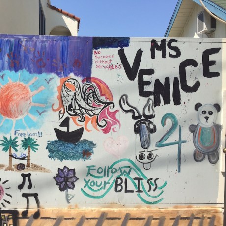 Venice_Follow Your Bliss _r