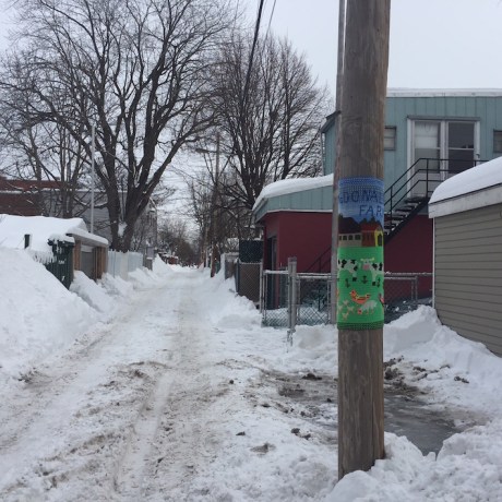 yarnbomb_14-fev-2017-7