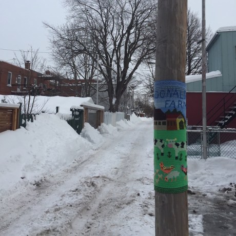 yarnbomb_14-fev-2017-9